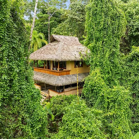 Copa De Arbol Beach & Rainforest Resort-2
